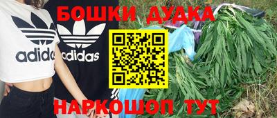 spice Новозыбков