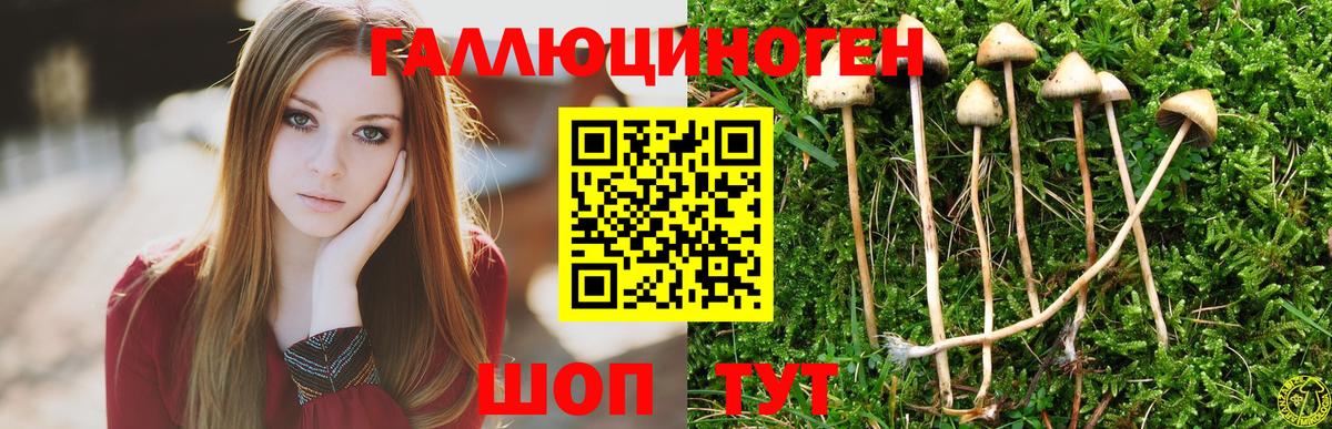 Псилоцибиновые грибы MAGIC MUSHROOMS Воткинск